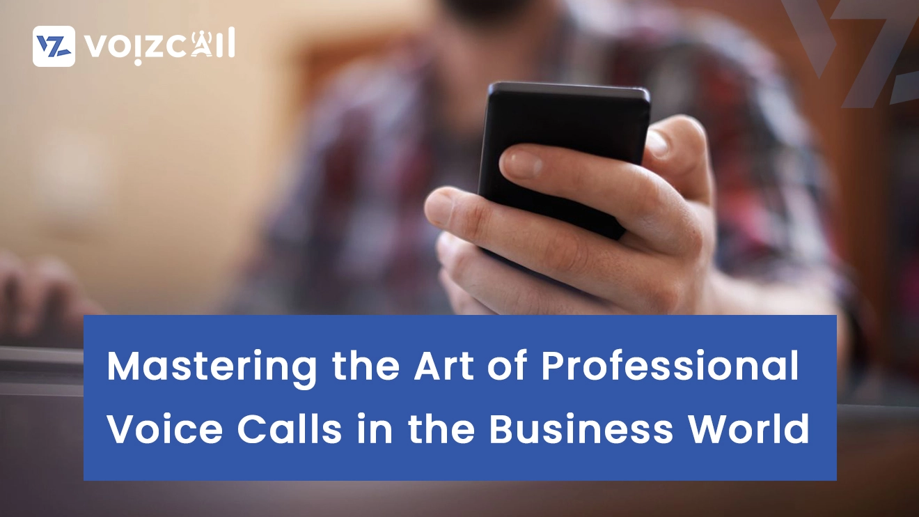 Professional voice calls in business communication