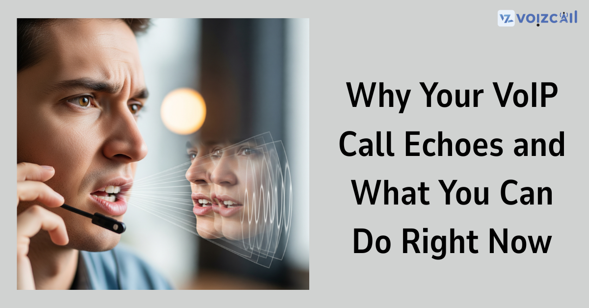 VoIP echo cancellation process with waveform visualization